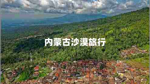 內(nèi)蒙古沙漠旅行