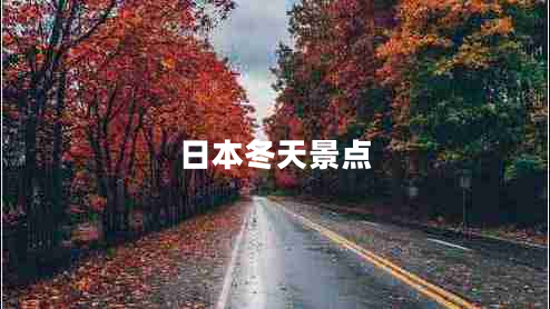 日本冬天景點