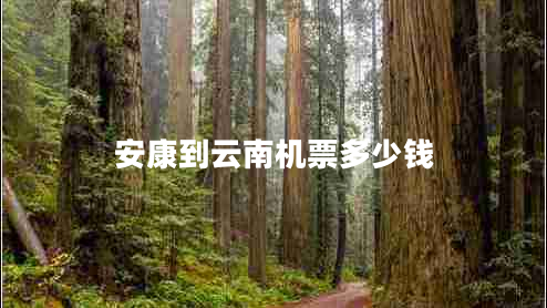 安康到云南機(jī)票多少錢