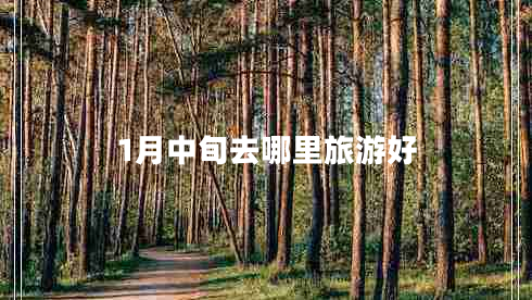 1月中旬去哪里旅游好