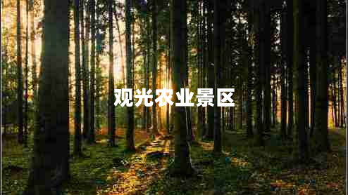 觀光農(nóng)業(yè)景區(qū)