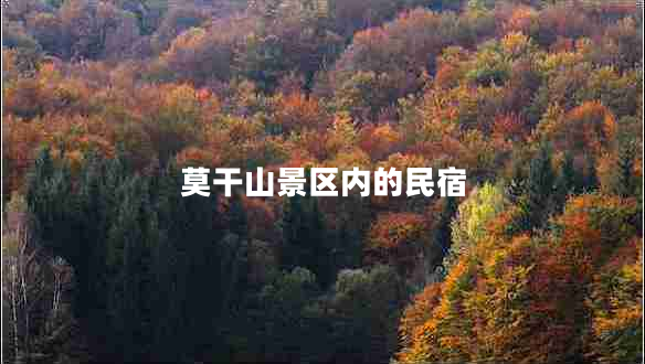 莫干山景區(qū)內(nèi)的民宿