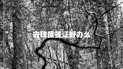 去印度簽證好辦么