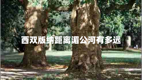 西雙版納距離湄公河有多遠