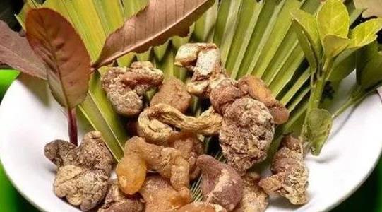 種10畝黃精利潤多少