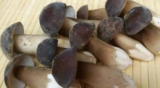 雞樅菌價(jià)格多少一斤