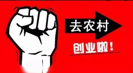 農(nóng)村不起眼的商機(jī)有哪些 農(nóng)村不起眼的商機(jī)有哪些