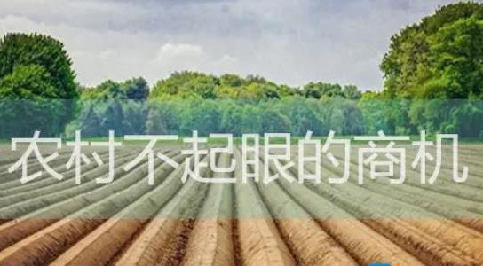 農(nóng)村不起眼的商機(jī)有哪些 農(nóng)村不起眼的商機(jī)有哪些