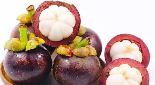 山竹長在土里還是樹上 山竹長在土里還是樹上