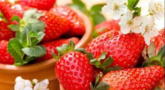 種植什么農(nóng)作物的利潤高