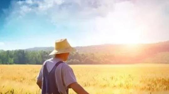 農(nóng)村不起眼的商機(jī)有哪些 農(nóng)村不起眼的商機(jī)有哪些