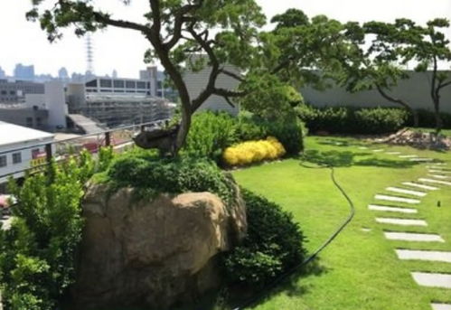 園林養(yǎng)護(hù)方法有哪些