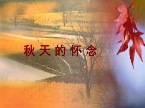 《秋天的懷念》教學(xué)方法有哪些