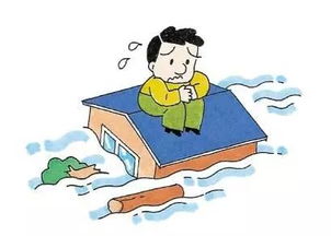 洪水來臨時你能想出哪些自救的方法