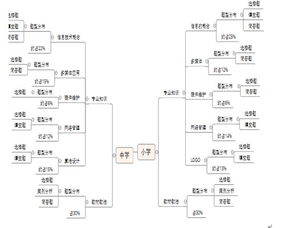 小學(xué)信息學(xué)科考查方法有哪些