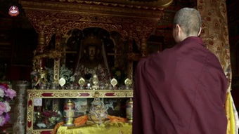 真正發(fā)起皈依心的方法有哪些