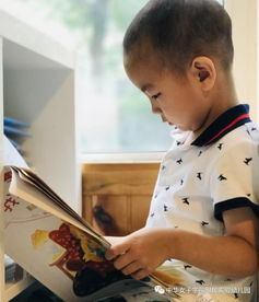 修補(bǔ)圖書(shū)的方法有哪些