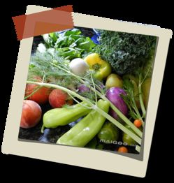 蔬菜的家庭養(yǎng)殖方法有哪些