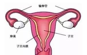 輸卵管和檢查方法有哪些