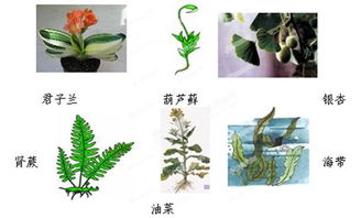 在一個(gè)類中的方法有哪些特點(diǎn)是什么