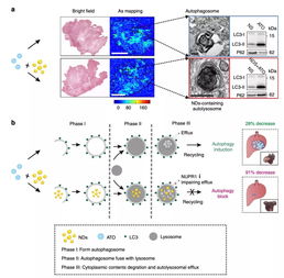 抑制積削瘤的方法有哪些