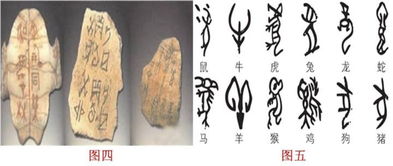 外的造字方法有哪些