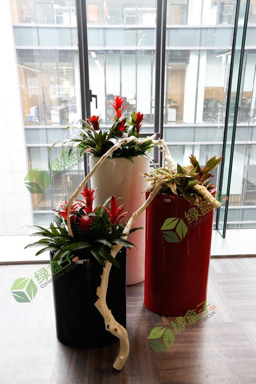 植物的設(shè)計(jì)說明方法有哪些特點(diǎn)