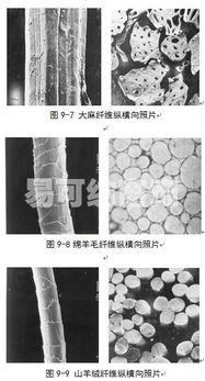 紡織纖維鑒別方法有哪些