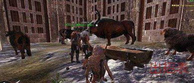 馴養(yǎng)動物有哪些方法