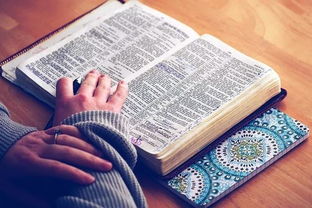 一種閱讀什么的方法有哪些