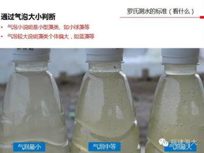 測水的方法有哪些特點(diǎn)