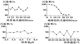 微生物表現(xiàn)型表示方法有哪些
