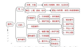 生活中的什么環(huán)境描寫方法有哪些