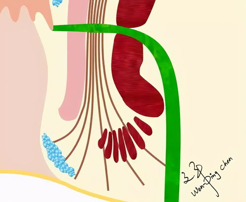 瘙癢癥的治療方法和代表藥物有哪些