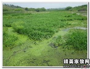 植物調查的一般方法有哪些