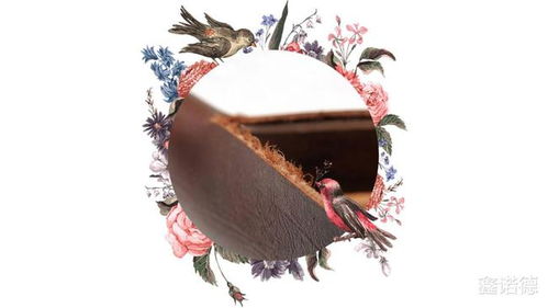 鞣制方法有哪些