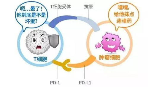 哪些不是腫瘤免疫治療方法