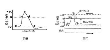 可以用哪些方法確定酸堿滴定的終點(diǎn)