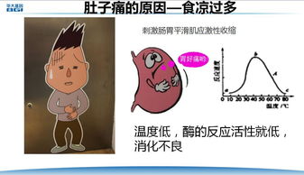 生活中的蛋白質(zhì)有哪些方法