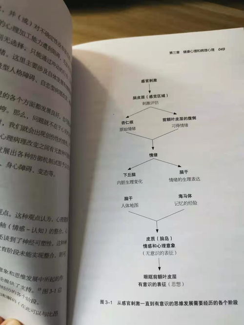 心理分析過程方法包括哪些