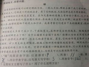 高老頭這篇文章運用了哪些描寫方法