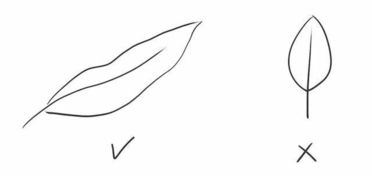 畫(huà)植物的方法有哪些大全集