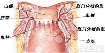 肛瘺手術(shù)方法有哪些