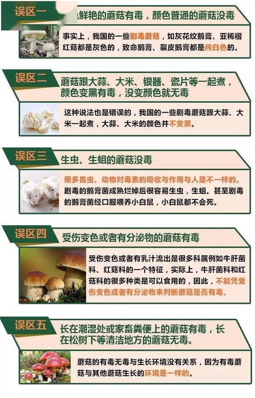 病毒分離與鑒定方法有哪些