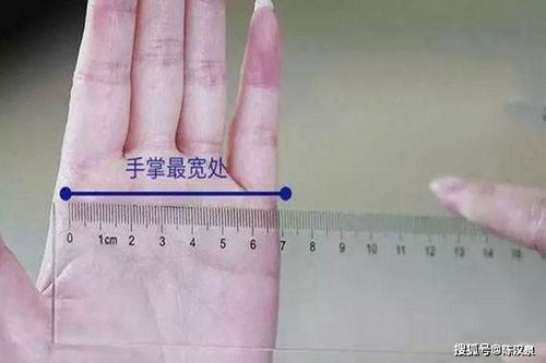 測量手的面積方法有哪些