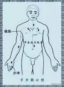 經(jīng)絡(luò)疏通有哪些方法