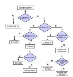 資料處理及統(tǒng)計(jì)方法有哪些內(nèi)容
