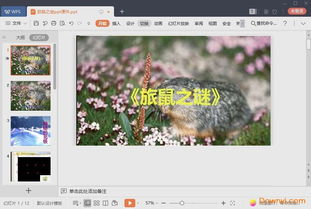 旅鼠之謎里有哪些說(shuō)明方法