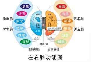 全腦開發(fā)有哪些方法
