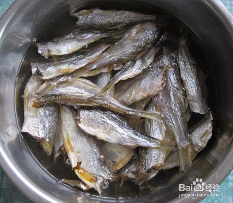 河里搞魚有哪些方法